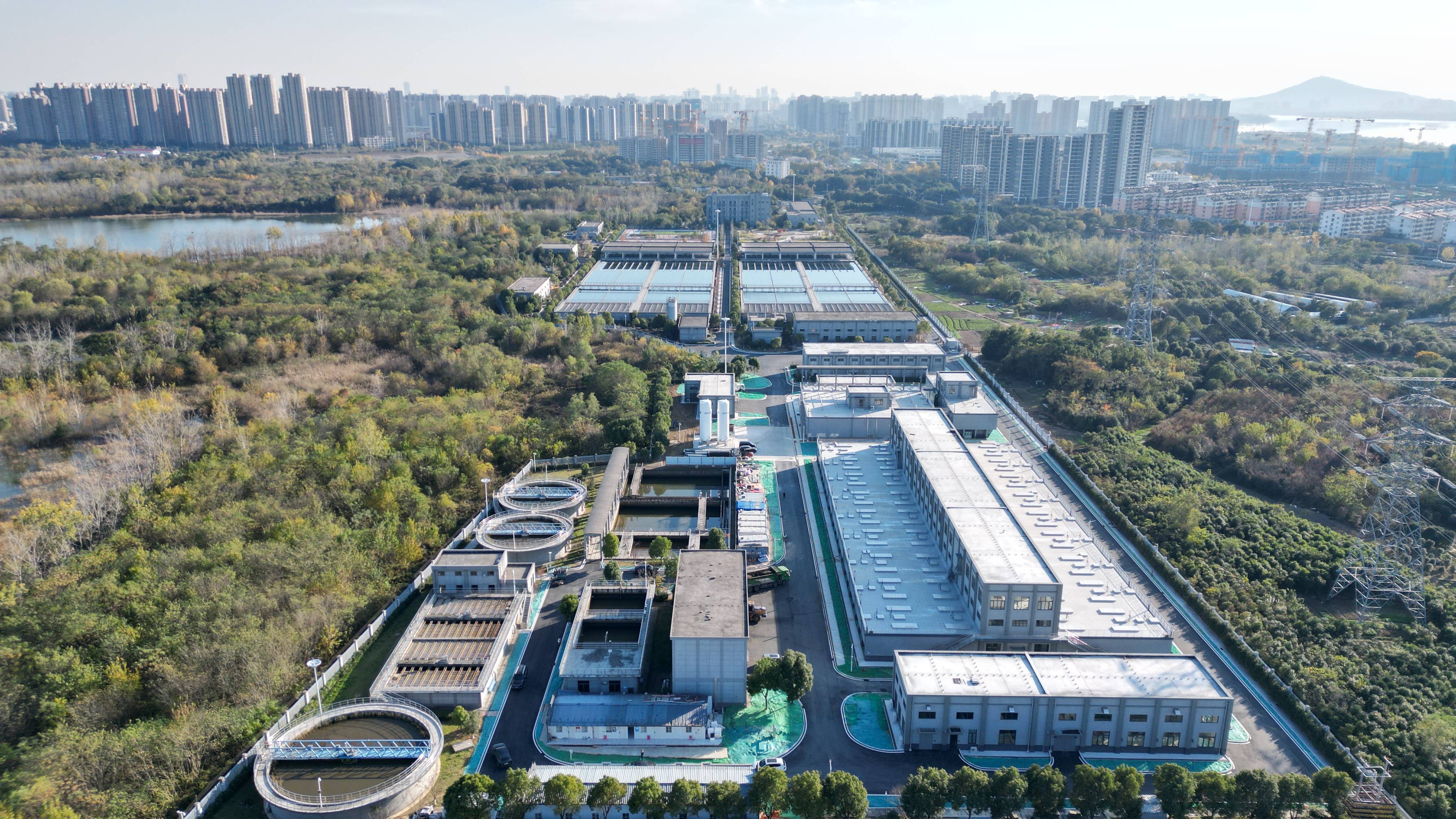 张家界市合肥专业企业价值增长(合肥市重点企业产业目录)