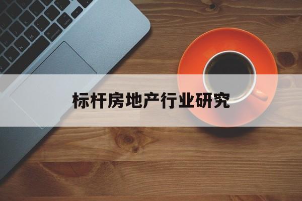 张家界市标杆房地产行业研究(房地产领域的标杆人物)