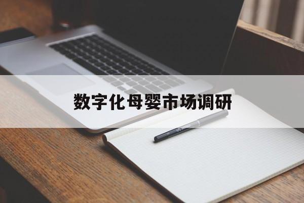 张家界市数字化母婴市场调研(数字化母婴市场调研报告)